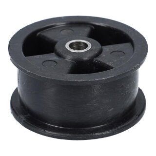Electrolux Spannrolle 125012503 - für Trockner