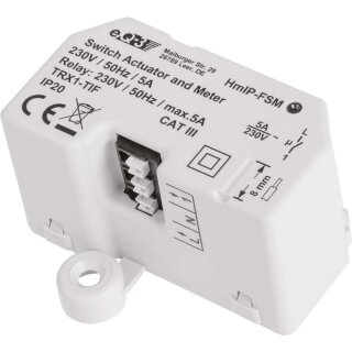 HomeMatic IP Schalt-Mess-Aktor Unterputz eQ-3 HmIP-FSM - 142721A0