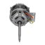 Zanker Motor 807252402