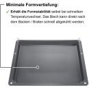 BSH Backblech 20005941 ( 455 x 390 x 31 mm )
