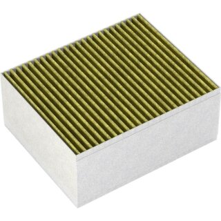 Bosch Clean Air Plus Geruchsfilter DZZ1XX1B6