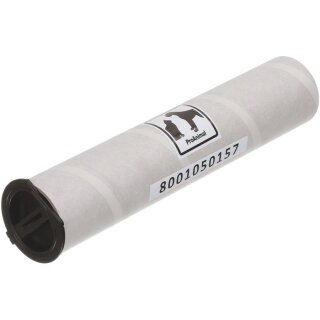BSH Bürstenwalze 17002816