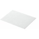 BSH Motorschutzfilter 00425965