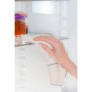 BSH Kühlschrank-Reinigungstuch 17004322